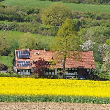 Ferienwohnung Forsthaus Wilmeröderberg Polle Exterior foto