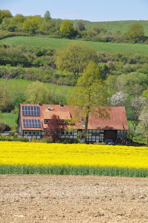 Ferienwohnung Forsthaus Wilmeröderberg Polle Exterior foto